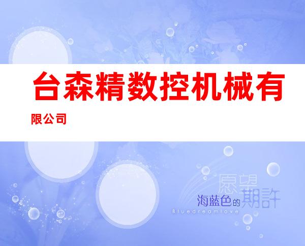 台森精数控机械有限公司